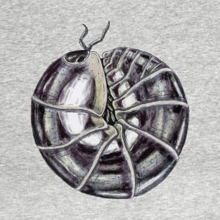 Schizidium oertzeni "chrome" Isopod T-Shirt